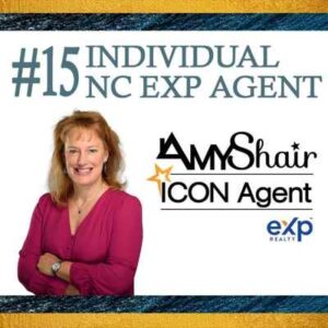 Amy Shair #15 EXP Agent